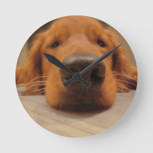 Reloj de pared del golden retriever