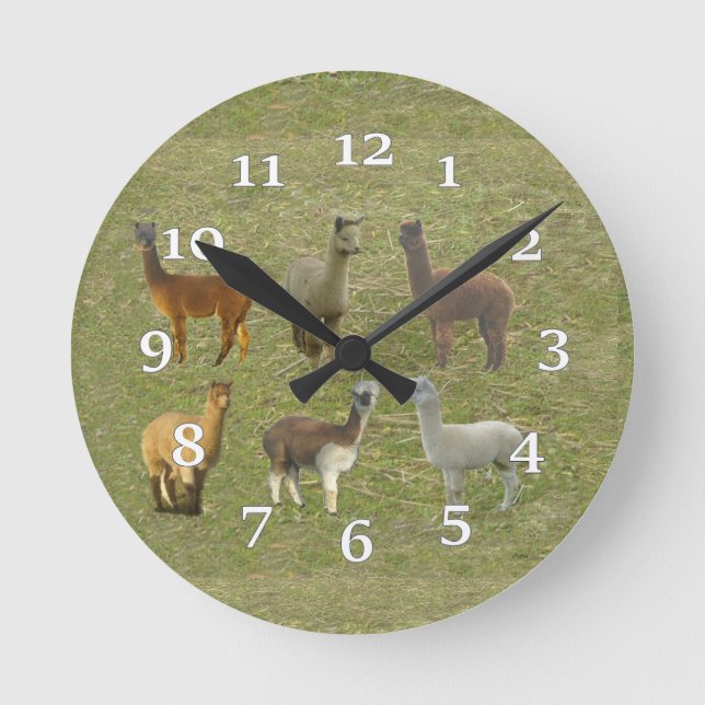 Reloj de pared del grupo de la alpaca (Anverso)
