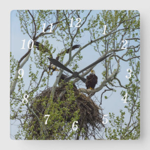 Reloj de pared del hogar Daddys