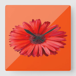 Reloj de pared del naranja Daisy