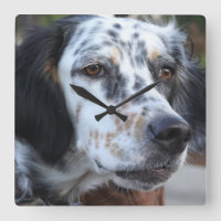 Reloj de pared del organismo de Llewellin