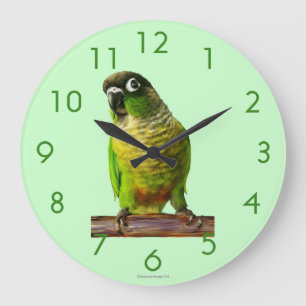 Reloj de pared del pájaro