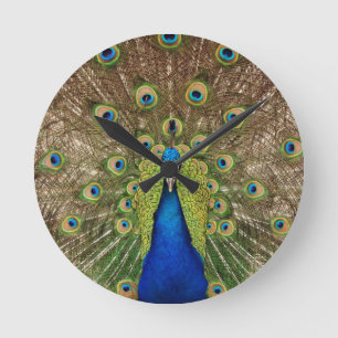 Reloj de pared del pavo real