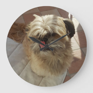 Reloj de pared del perro de Shih Tzu