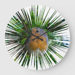 Reloj de pared del petirrojo