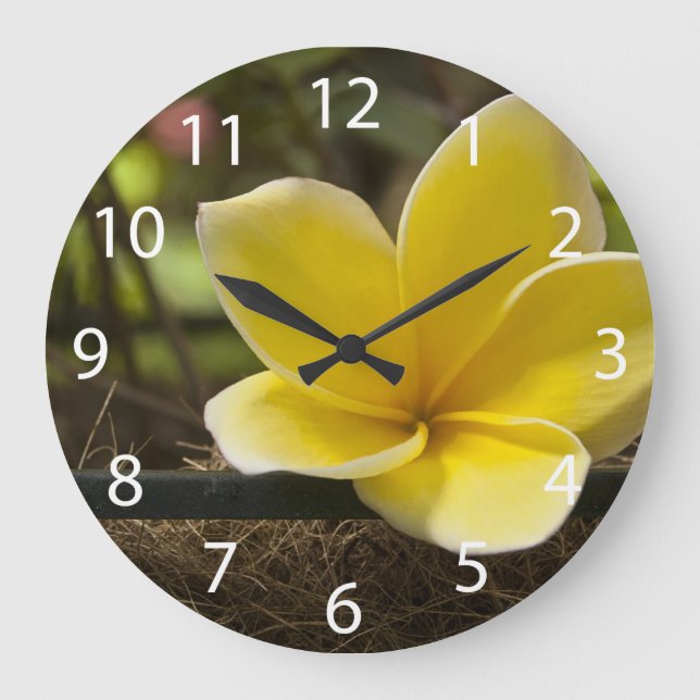 Reloj de pared del Plumeria (Anverso)