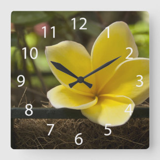 Reloj de pared del Plumeria