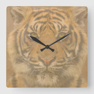 Reloj de pared del tigre