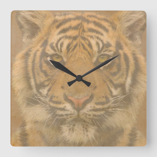 Reloj de pared del tigre (Anverso)