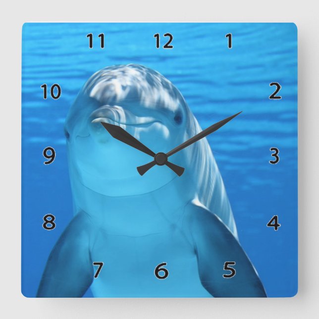 Reloj de pared delfines (Anverso)
