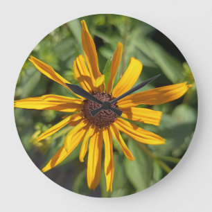 Reloj de pared floral Black-Eyed Susan   Amarillo 