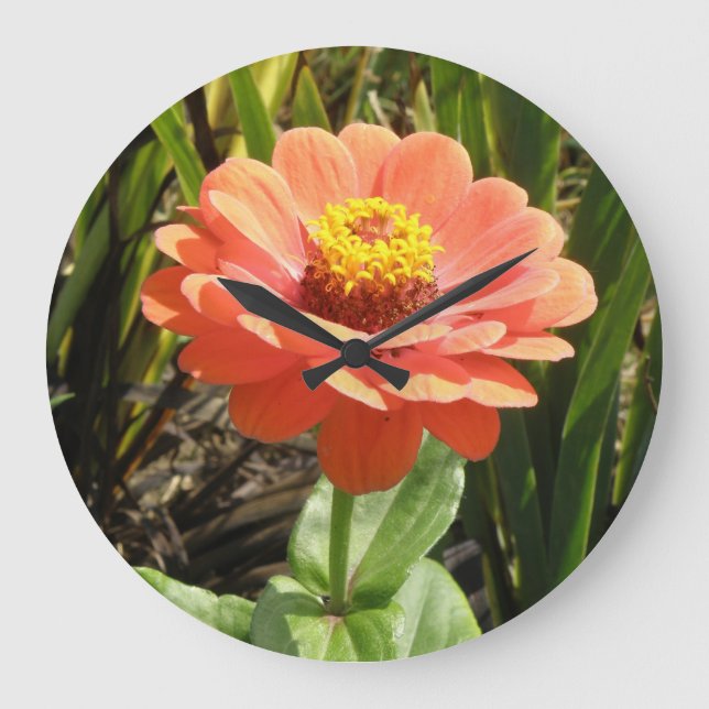 Reloj de pared floral de la naranja Zinnia (Anverso)