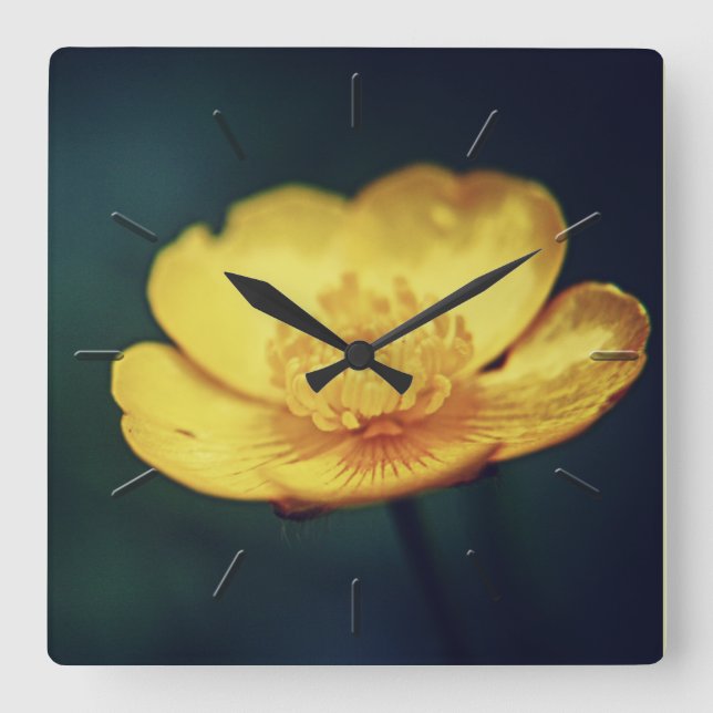 Reloj de pared floral de mariposa (Anverso)
