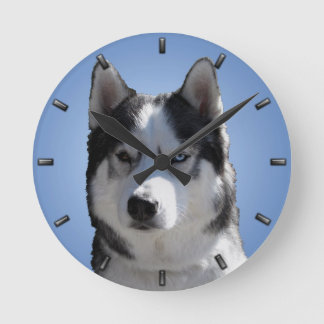 Reloj de pared fornido del perro de trineo de la