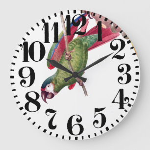 Reloj de pared grande del número del Macaw del