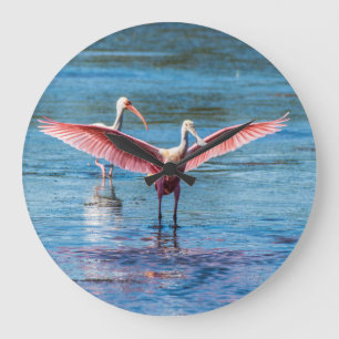 Reloj de pared (grande) redondo del Spoonbill