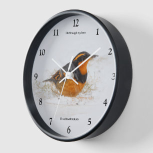Reloj De Pared Hermoso pájaro aguafiestas variados en la nieve