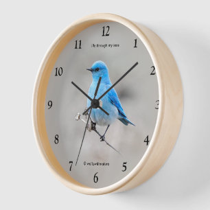 Reloj De Pared Hermoso pájaro azul de la montaña en Tansy