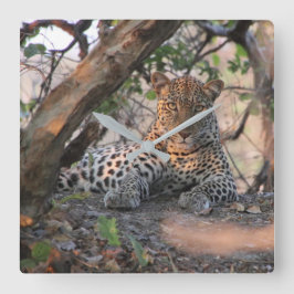 Reloj de pared leopardo