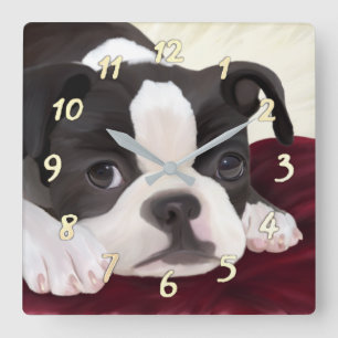 Reloj de pared lindo del terrier de Boston