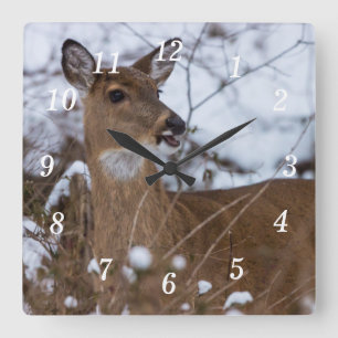 Reloj de pared masticable