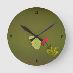 Reloj de pared (medio) redondo de la mariposa
