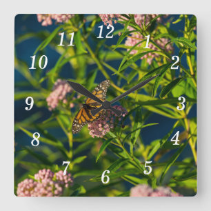 Reloj De Pared Monarch Y Milkweed
