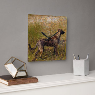 Reloj de pared para perro de caza Plott Hound