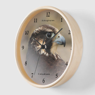Reloj De Pared Perfil de Vignetted de un halcón de peregrino