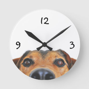Reloj de pared personalizado para mascotas