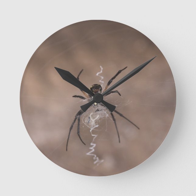 Reloj de pared redonda de araña (Anverso)