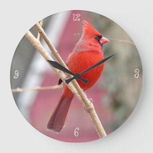 Reloj de pared redondo cardinal rojo