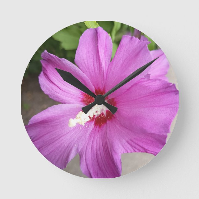 Reloj de pared redondo de flor de hibisco rosa (Anverso)