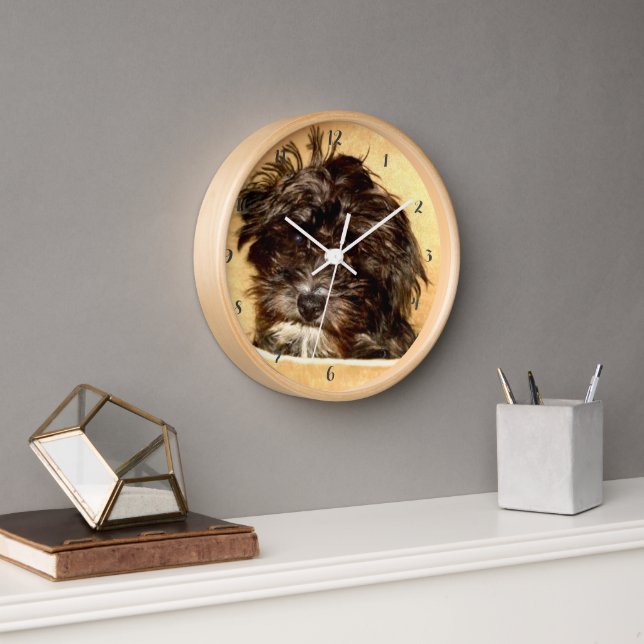Reloj de pared redondo de perro Schnoodle con marc (Oficina)