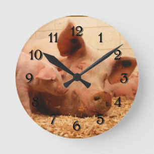 Reloj de pared redondo del cerdo y del cochinillo