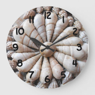 Reloj de pared redondo del Seashell grande hermoso