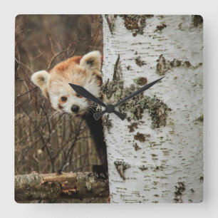 Reloj de pared rojo panda