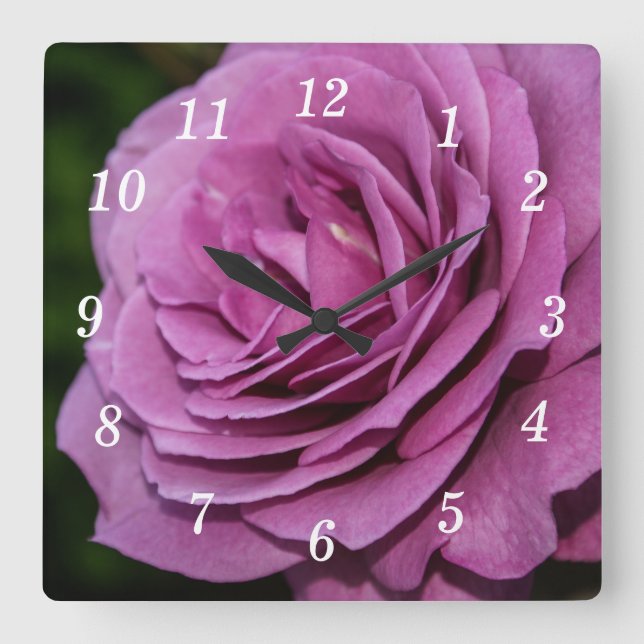 Reloj de pared Rosa del jardín magenta (Anverso)