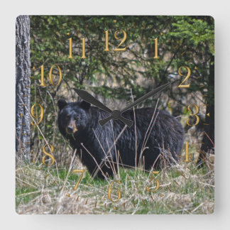 Reloj de pared salvaje de la foto del oso negro y