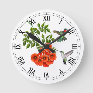 Reloj de pared Throated de rubíes de los colibrí