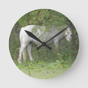 Reloj de pared tímido del caballo blanco