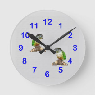 Reloj de pared verde de Conure de la mejilla