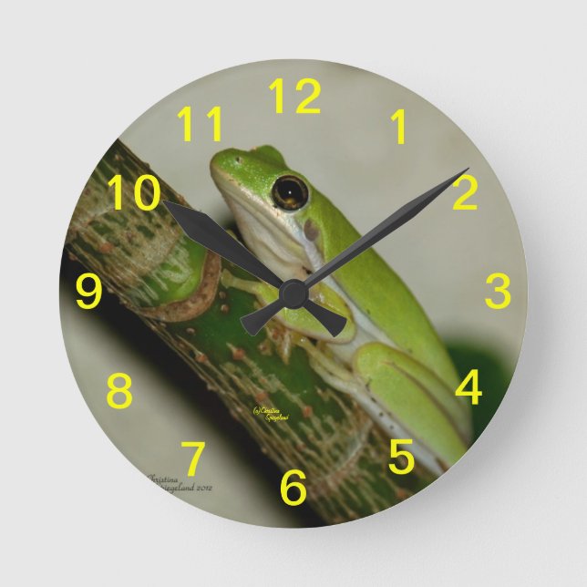 Reloj de pared verde de la rana arbórea (Anverso)