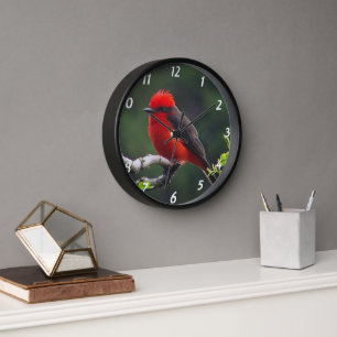 Reloj De Pared Vermilion Flycatcher Wall Clock