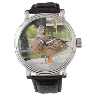 reloj de pato