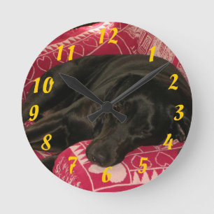 Reloj de perro dormido