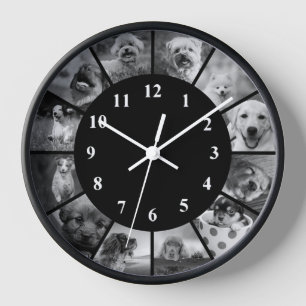 Reloj de perro fotografía animal blanco y negro