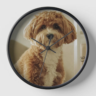 Reloj de perro lindo