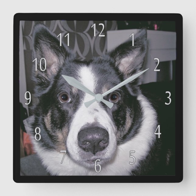 Reloj de perro personalizado (Anverso)
