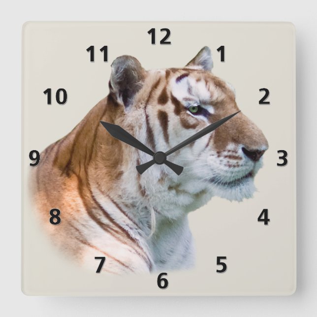 Reloj de Personalizable de tigres (Anverso)